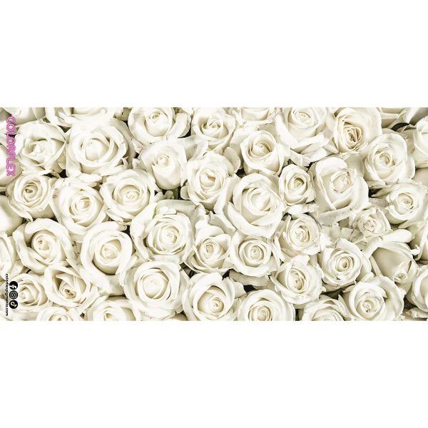 White Roses Backdrop Mat